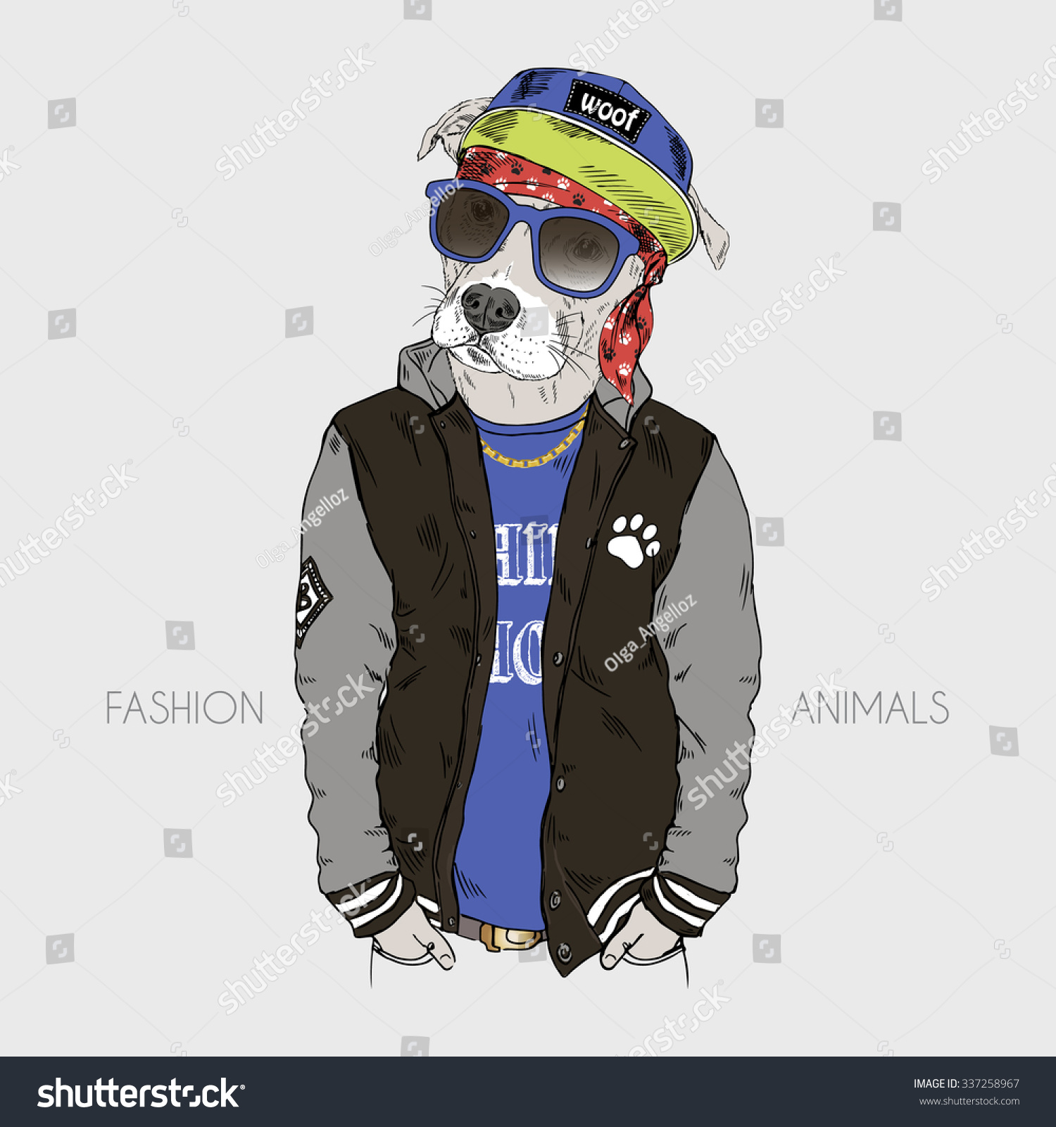 Pit Bull Dressed Up In Hip Hop Style, Furry Art Illustration ...