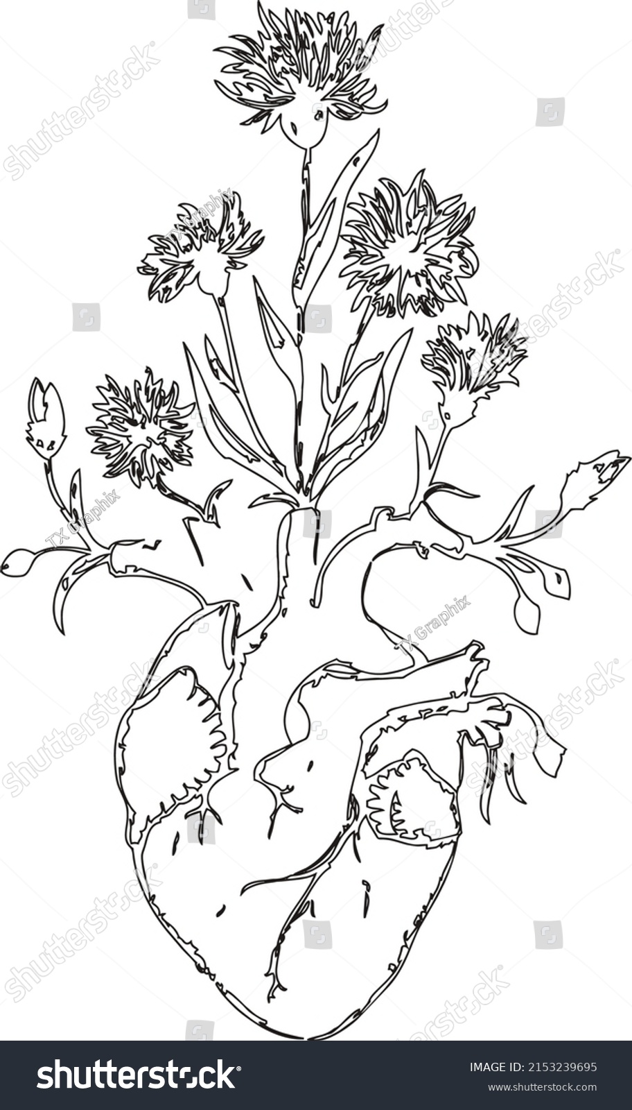 Plant Growing Heart Line Art Illustration Stock Vector Royalty Free