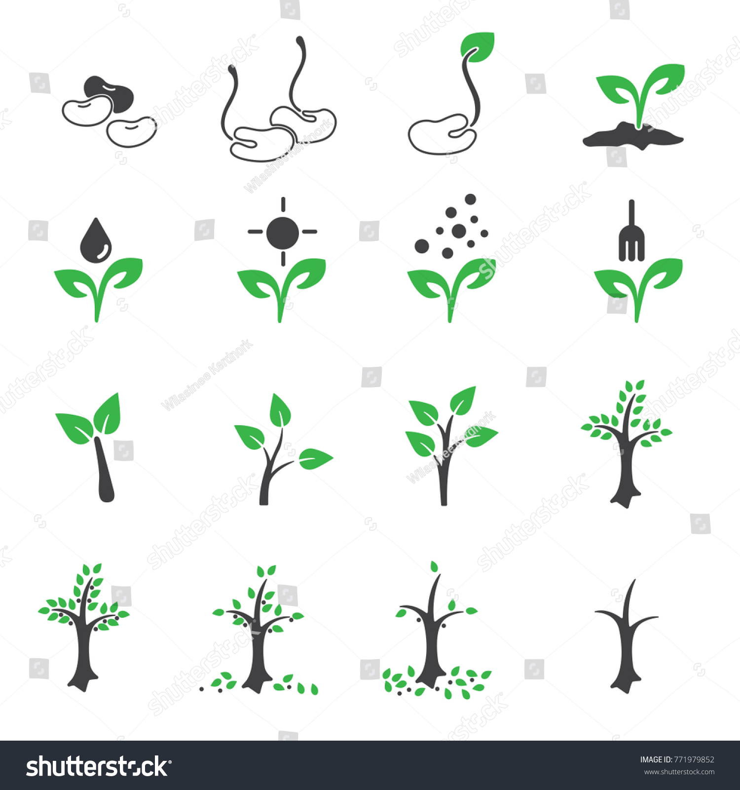 Plant Growing Icon Design Vector Stock Vector (Royalty Free) 771979852 ...