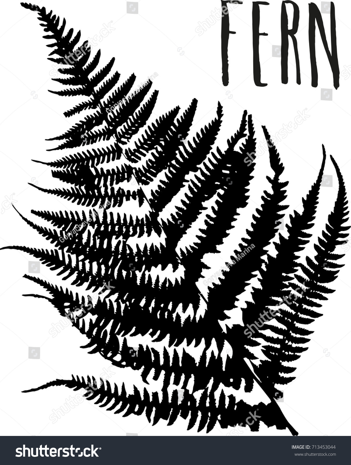 Plant Silhouette Fern Leaf Vector Illustration Stock Vector 713453044 ...