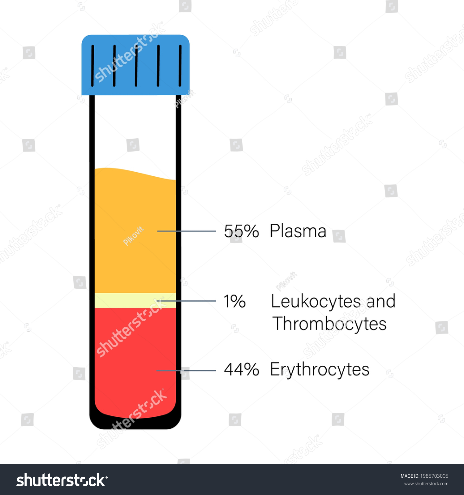 Platelet Rich Plasma Therapy Blood Composition Stock Vector (Royalty ...