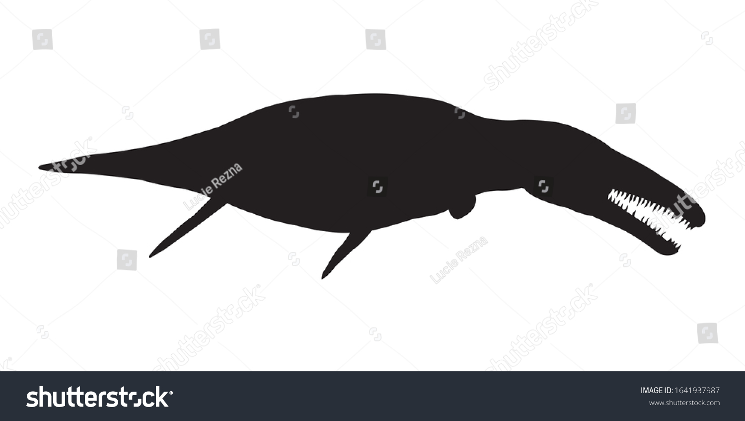 Plesiosaurus Dinosaur Silhouette On White Background Stock Vector ...