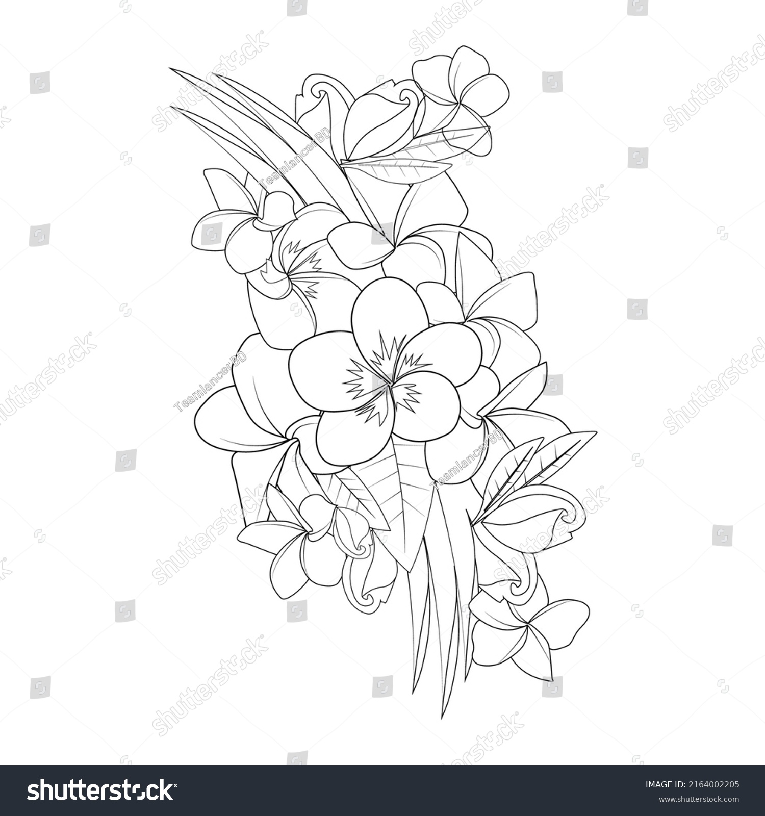 Plumeria Flower Doodle Coloring Page Outline Stock Vector (Royalty Free ...