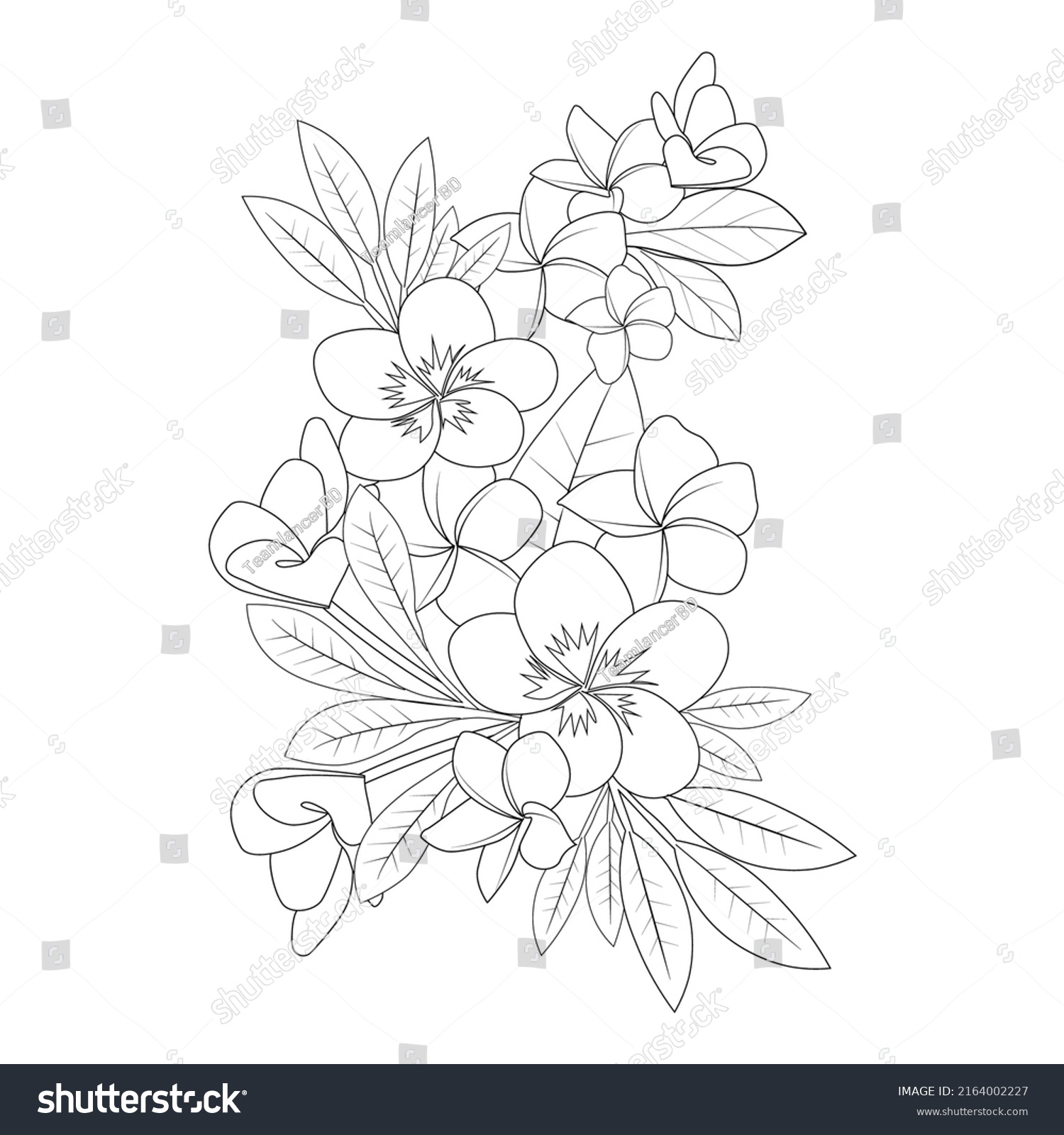 Plumeria Flower Doodle Coloring Page Outline Stock Vector (Royalty Free ...
