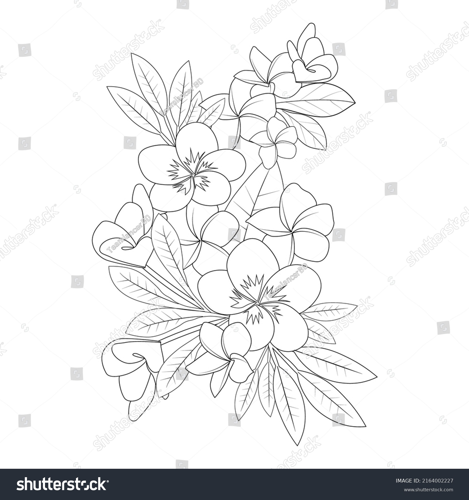 Plumeria Flower Doodle Coloring Page Outline Stock Vector (royalty Free 