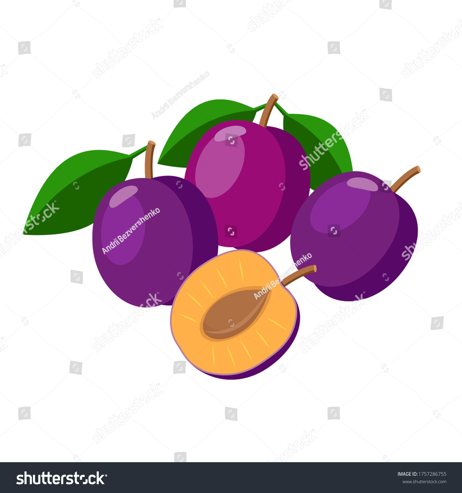 Plums Vector Illustration Isolated On White Stock Vector (Royalty Free ...