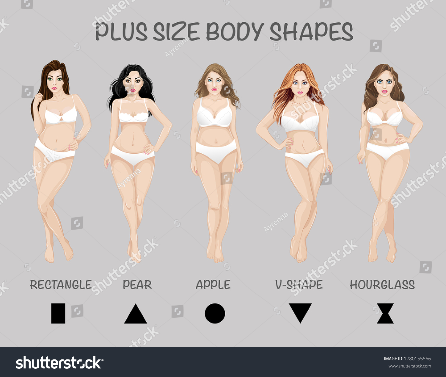 Size Body Shapes Isolated Stock Vector Free) 1780155566