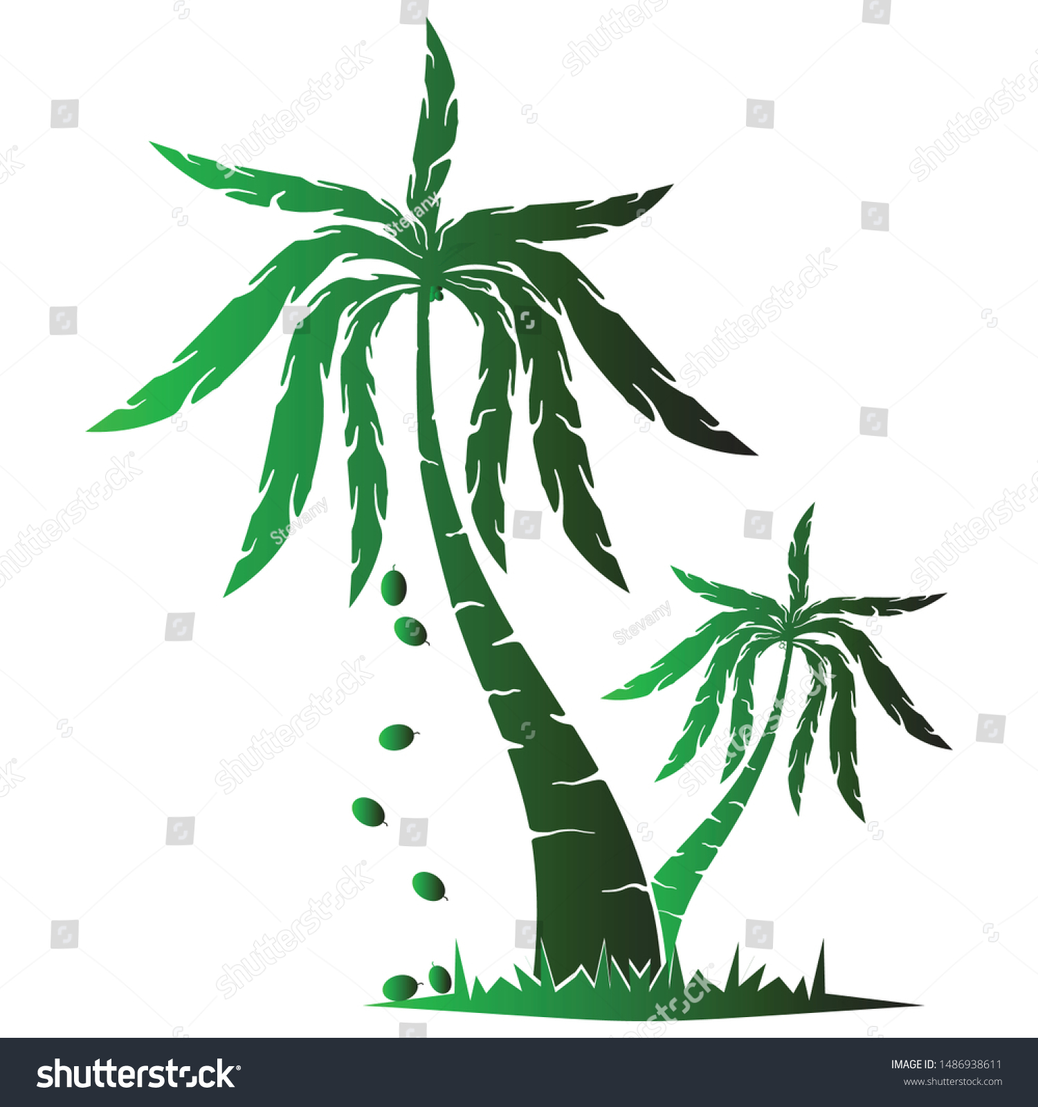 Pohon Kelapa Cocos Nucifera Ilustrasi Vektor Stock Vector Royalty
