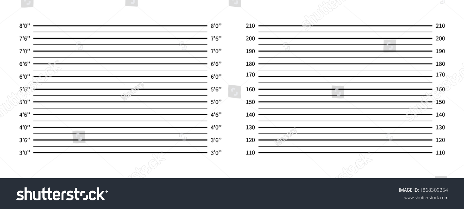 Police Lineup Mugshot Background Vector Illustration Stock Vector ...