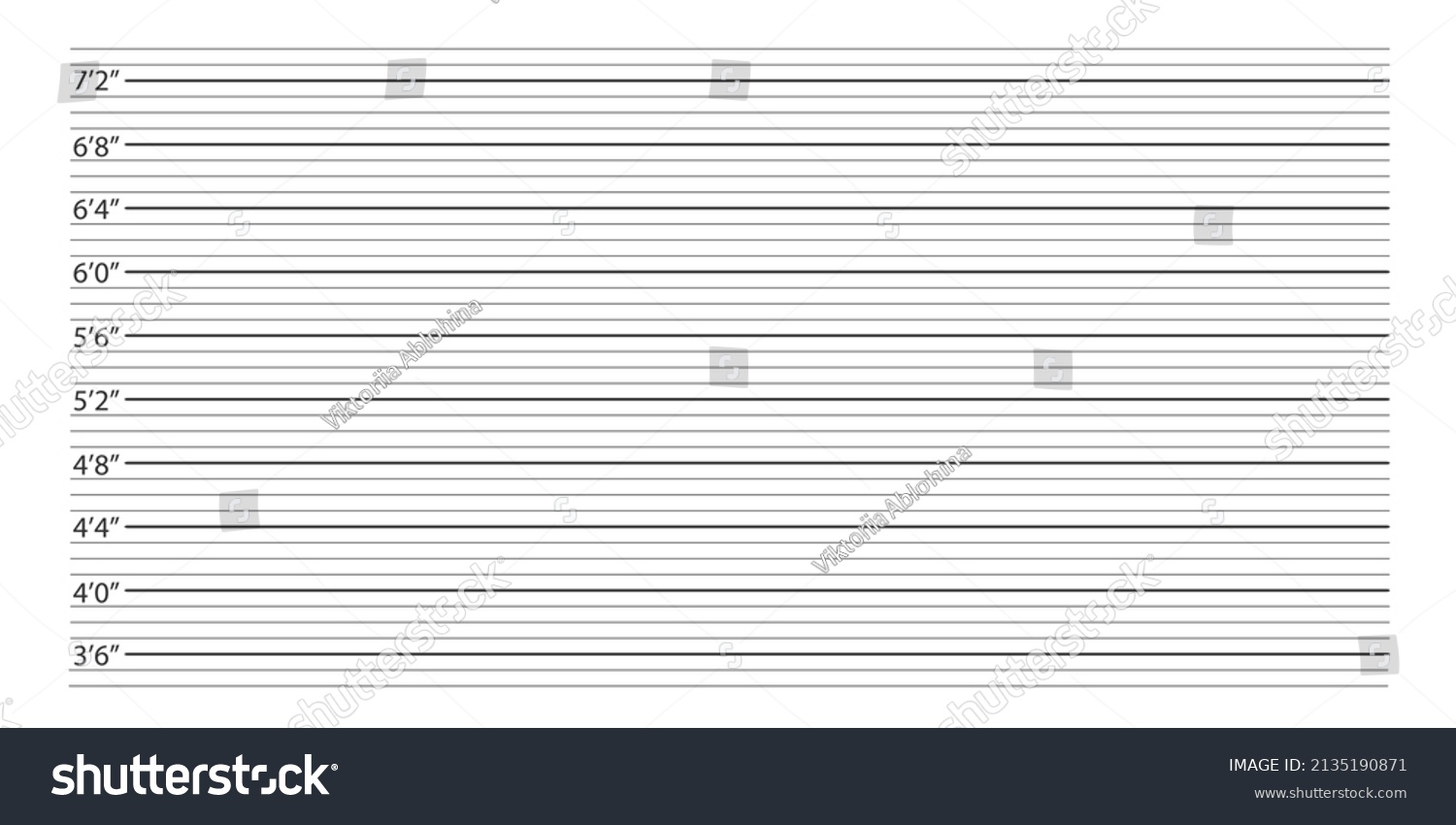 Police Mugshot Background Height Chart Photo Stock Vector (Royalty Free ...