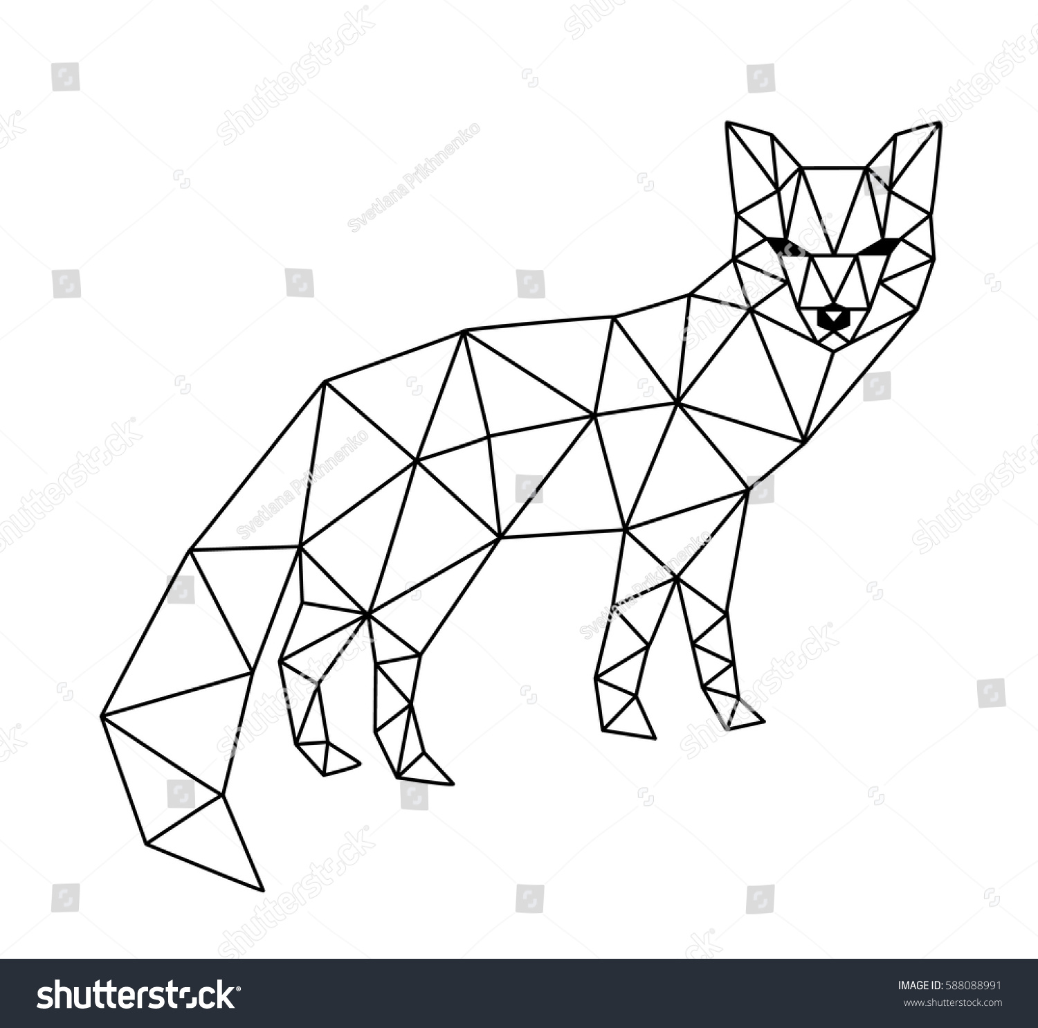 Polygonal Geometric Outline Illustration Fox Isolated Stock Vector ...