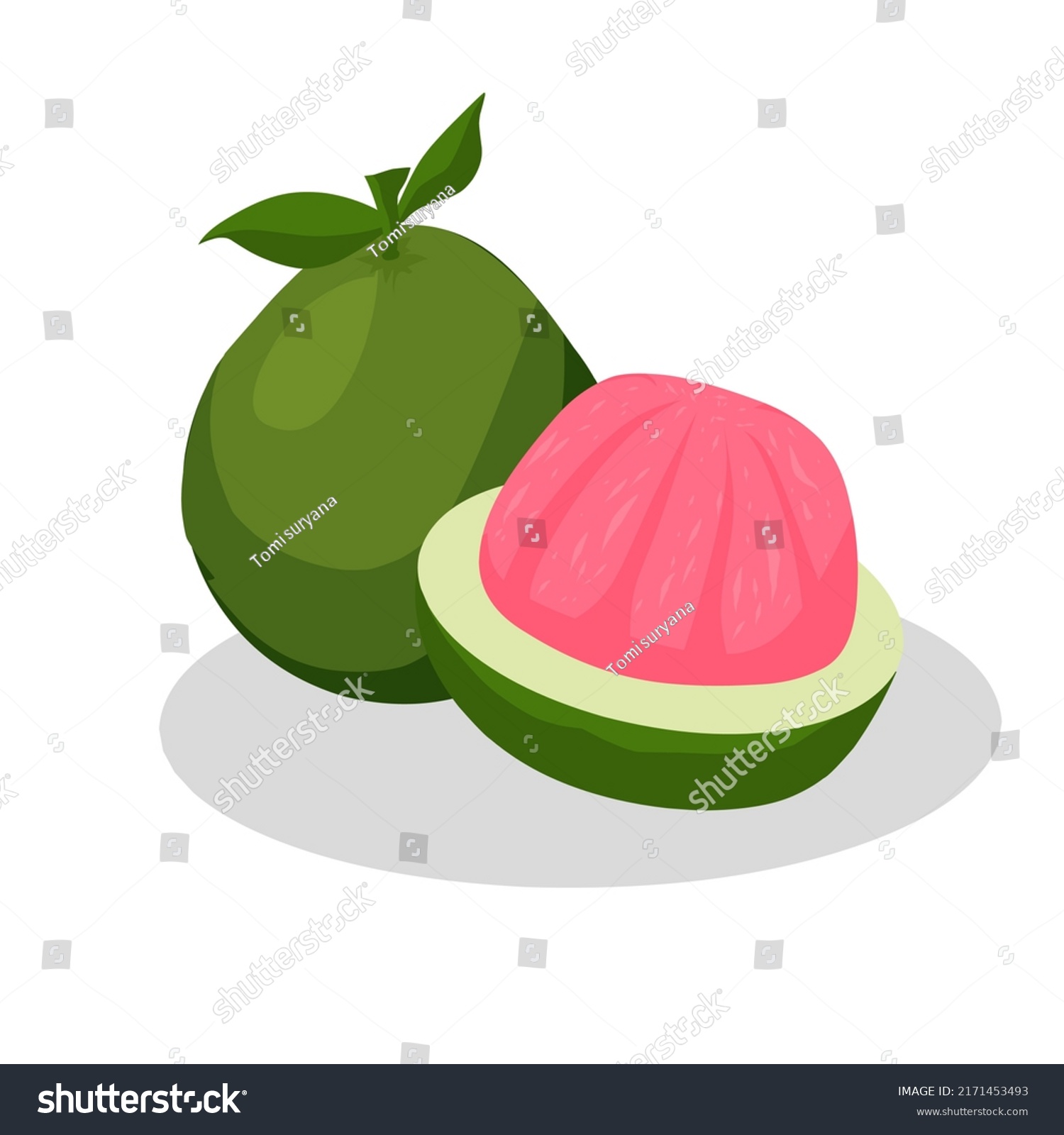 Pomelo Fruit Illustration Pomelo Fruit Icon Stock Vector (Royalty Free ...