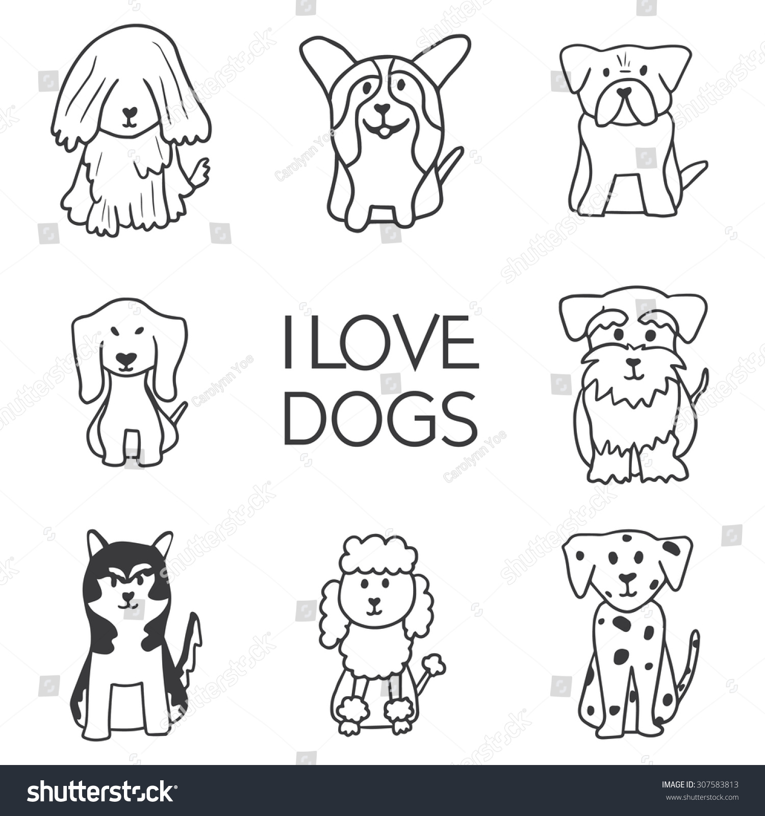 Popular Cute Dog Breeds Outline Drawing Stock Vector 307583813 ...