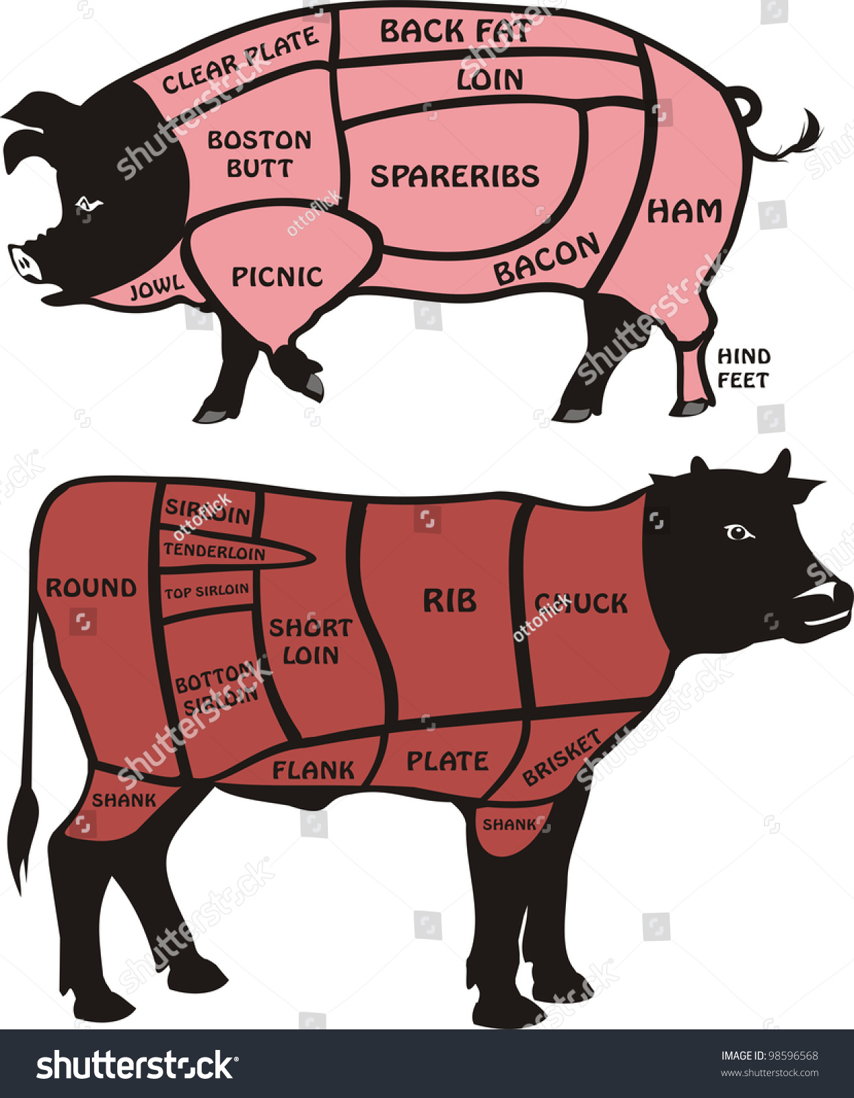 Pork Beef Cuts American Stock Vector 98596568 - Shutterstock