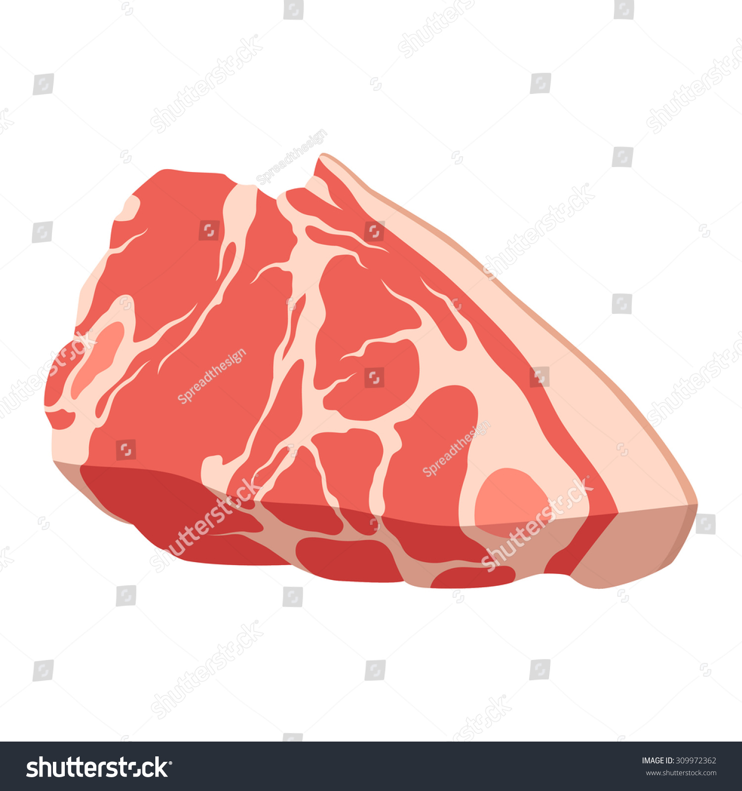 Pork Belly Stock Vector 309972362 - Shutterstock