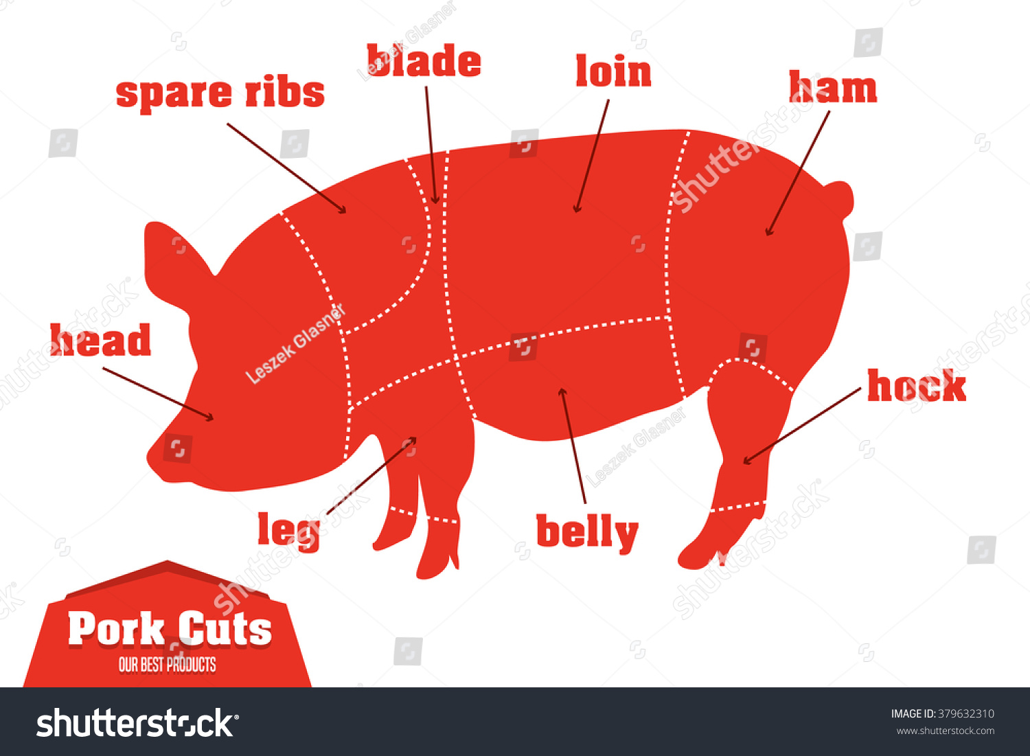 Pork Cuts Infographic Set Meat Parts Stock Vector (Royalty Free) 379632310