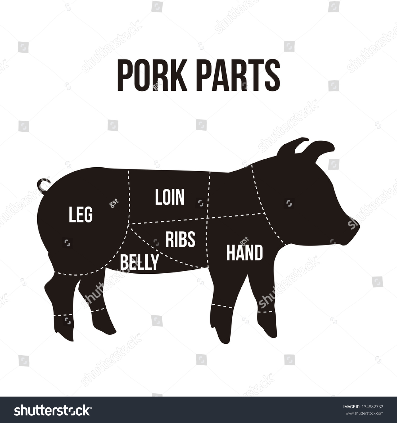 Pork Cuts Over White Background Vector Stock Vector (Royalty Free ...