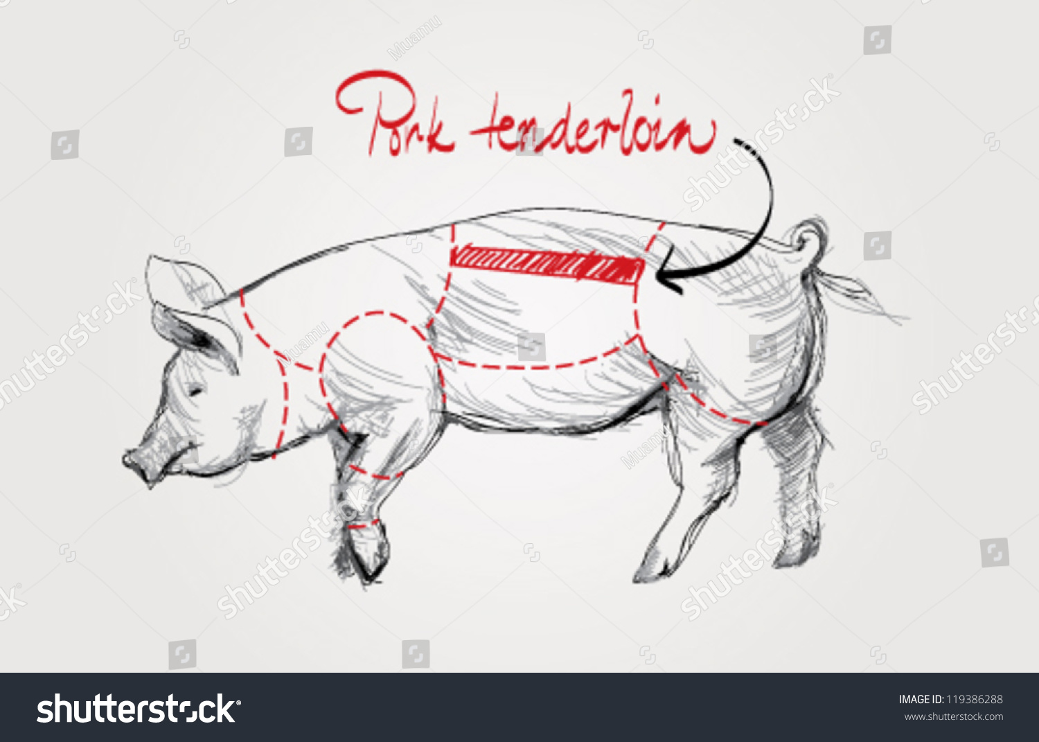 Suchen Sie Nach Pork Tenderloin Cuts Pig Stockbildern In Hd Und Millionen Weiteren Lizenzfreien Stockfotos Illustrationen Und Vektorgrafiken In Der Shutterstock Kollektion Jeden Tag Werden Tausende Neue Hochwertige Bilder Hinzugefugt