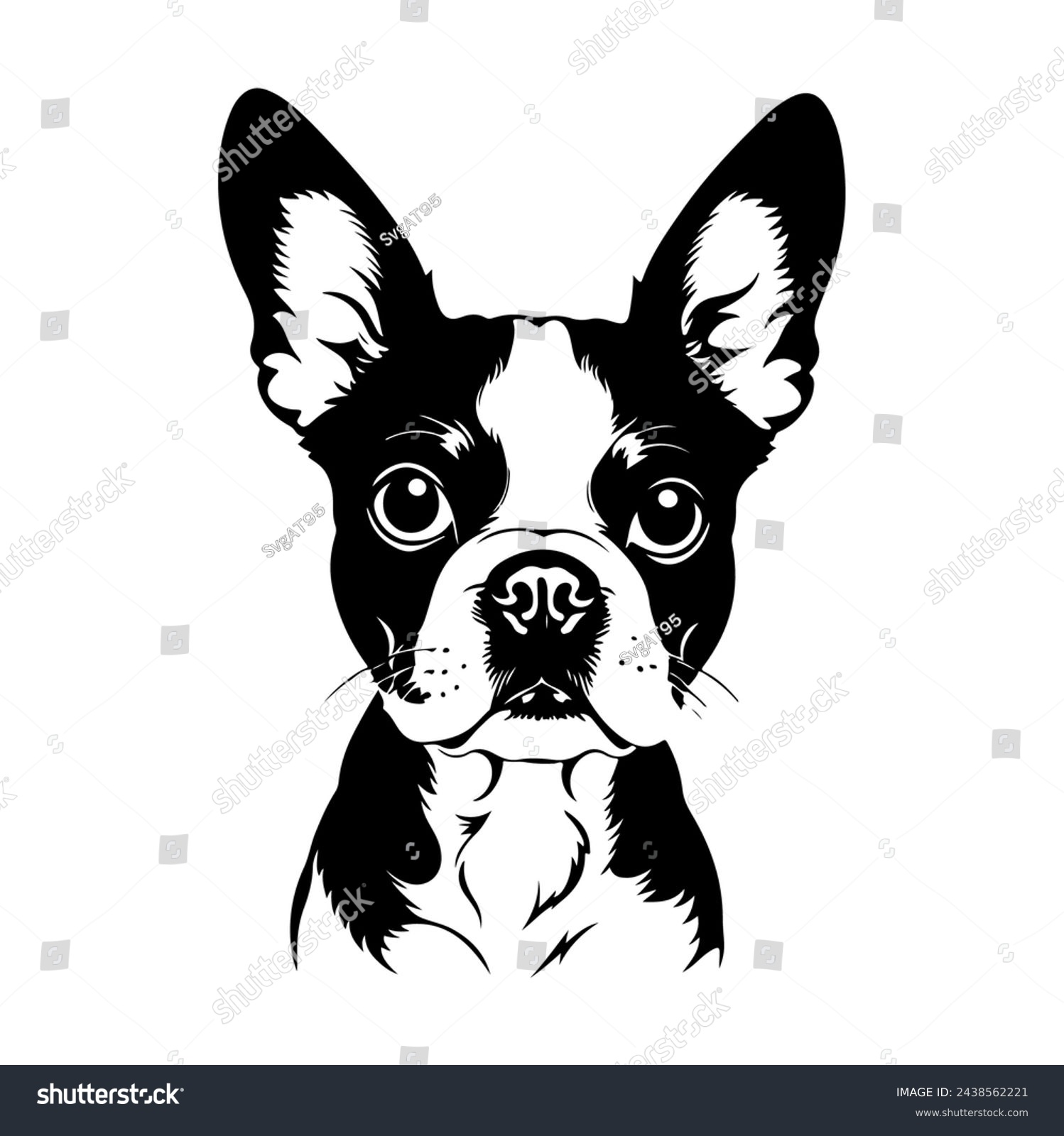 SVG of Portrait of a Boston Terrier Dog Vector isolated on white background, Dog Silhouettes svg