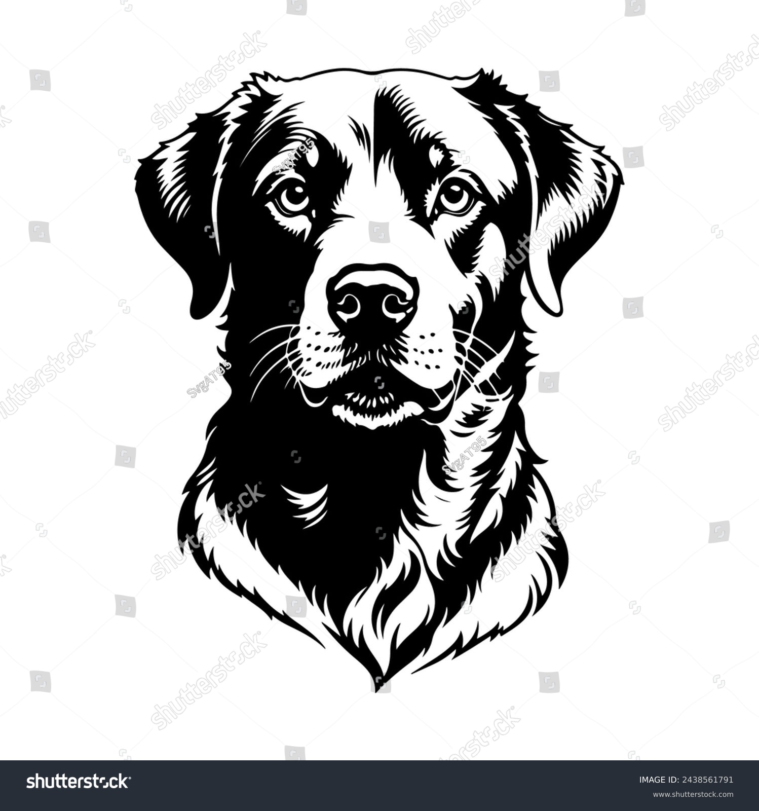SVG of Portrait of a Chesapeake Bay Retriever Dog Vector isolated on white background, Dog Silhouettes. svg