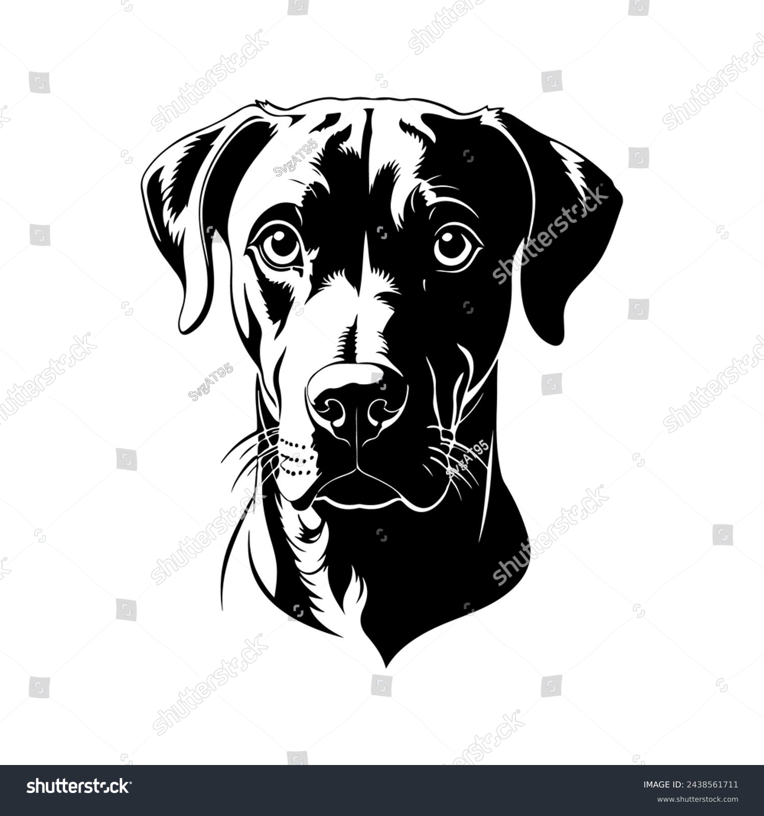 SVG of Portrait of a Rhodesian Ridgeback Dog Vector isolated on white background, Dog Silhouettes. svg