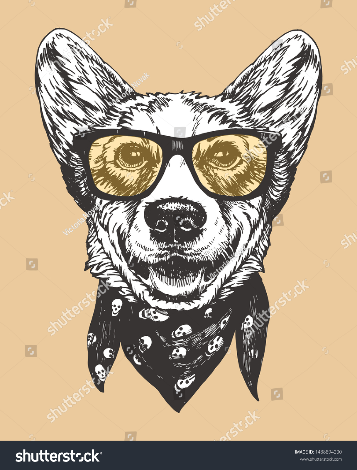 Portrait Pembroke Welsh Corgi Glasses Scarf Stock Vector (Royalty Free ...