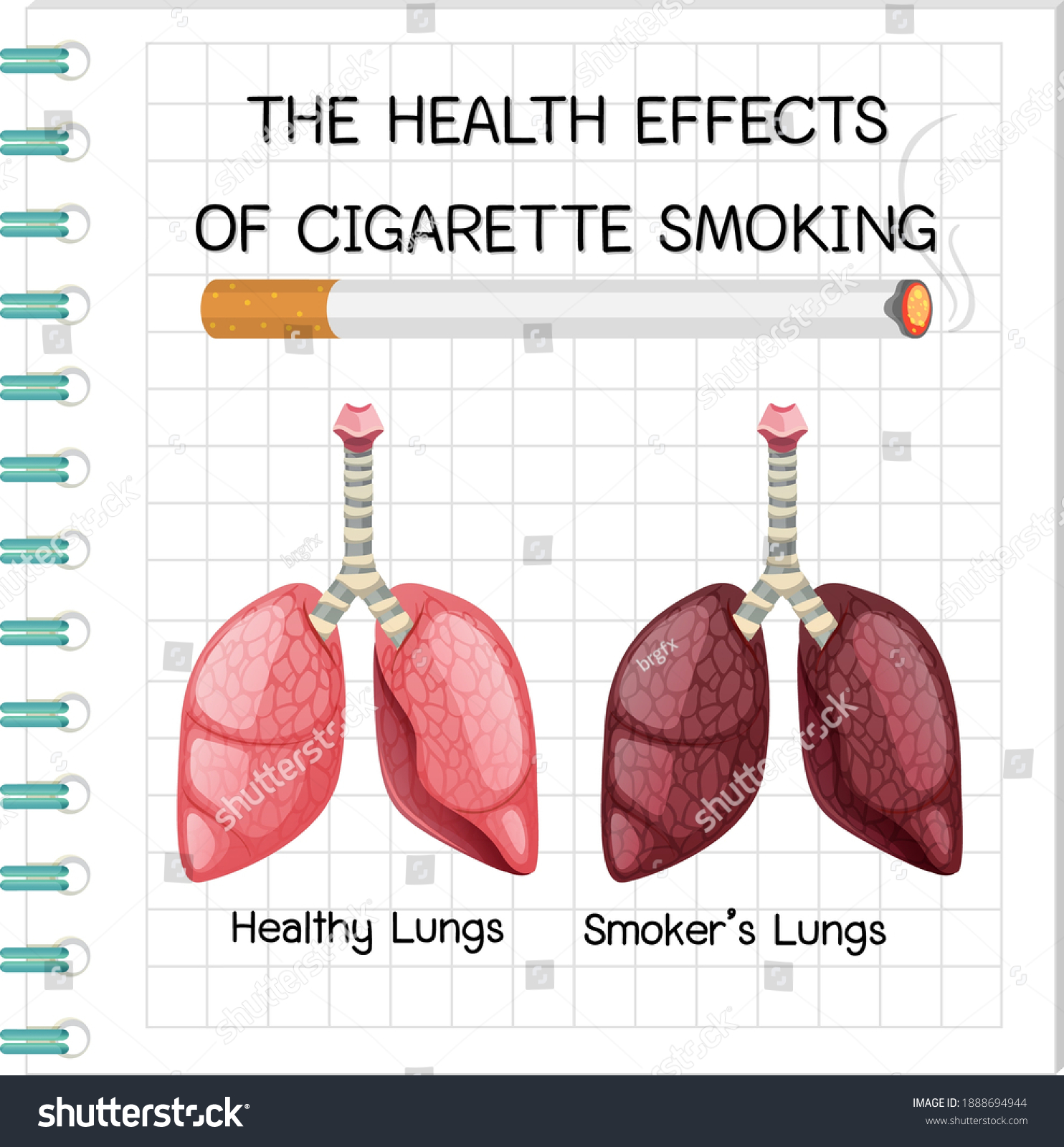 Poster On Health Effects Cigarette Smoking Stock Vector (Royalty Free ...