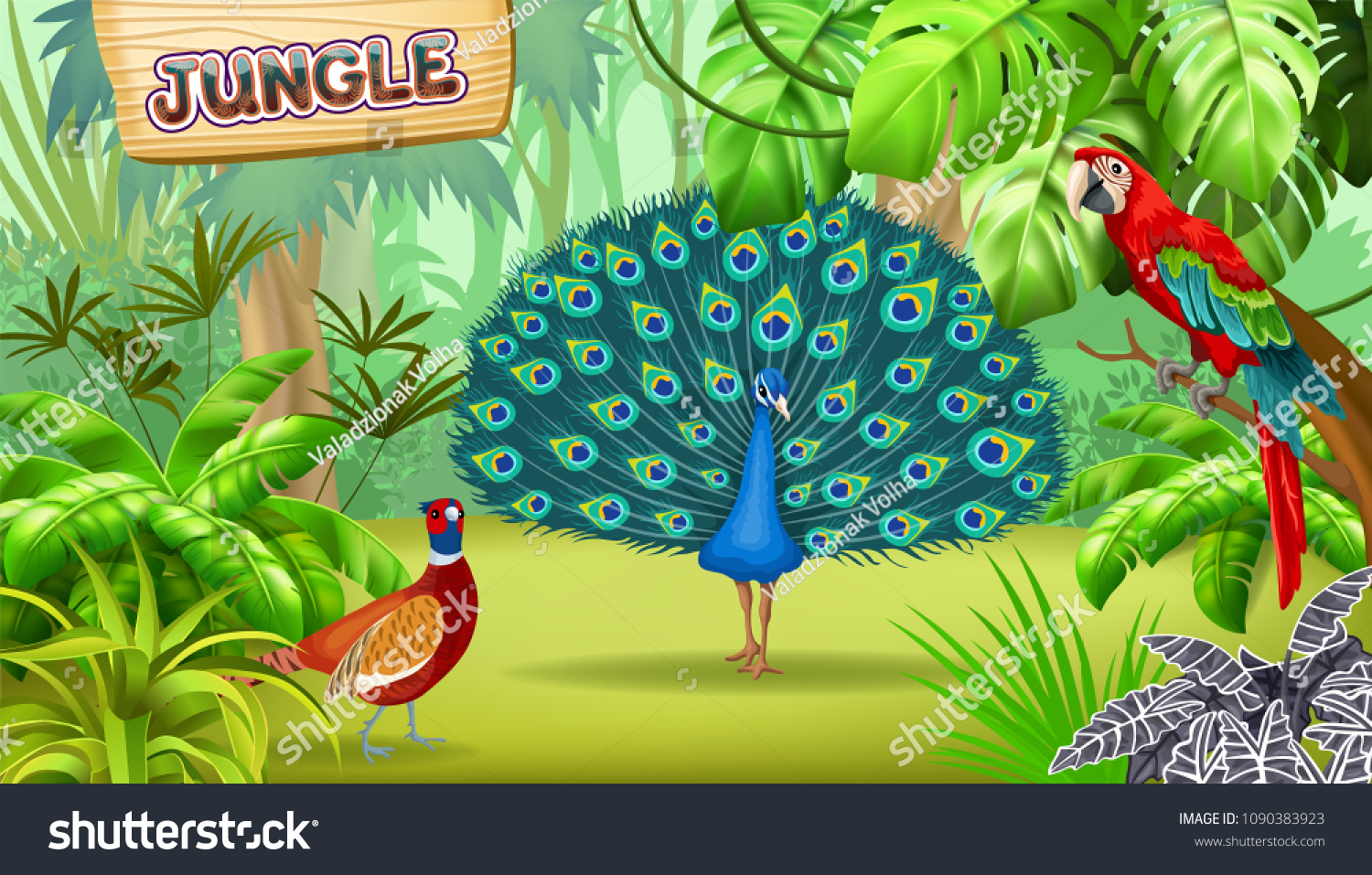 Peacock Forest Images Stock Photos Vectors Shutterstock Peacock Forest Images Stock Photos Vectors Shutterstock