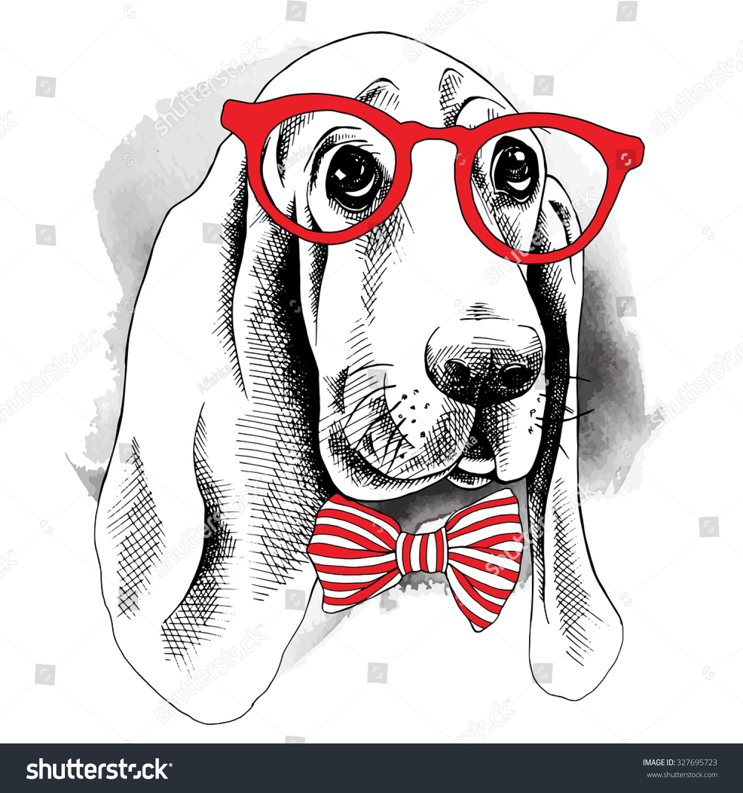 Poster With The Image Of A Basset Hound Dog With Glasses And Bow ...