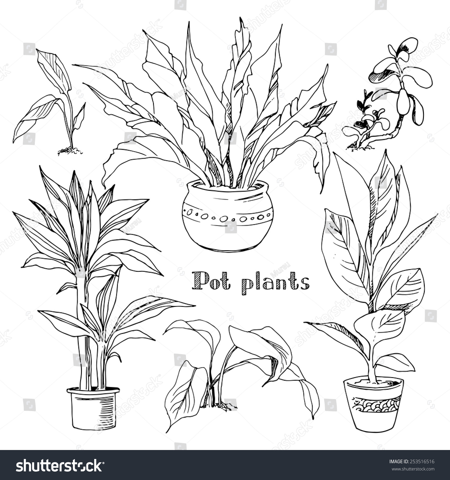 Pot Plants Set Vector Illustration Flowers Stock Vector (Royalty Free