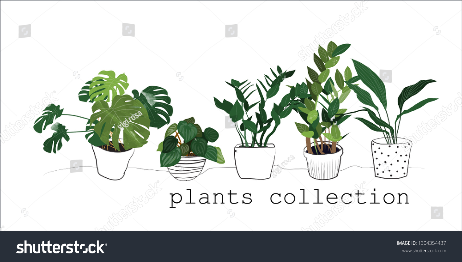 Potted Plants Collection Succulents House Plants Stock Vector Royalty Free 1304354437 