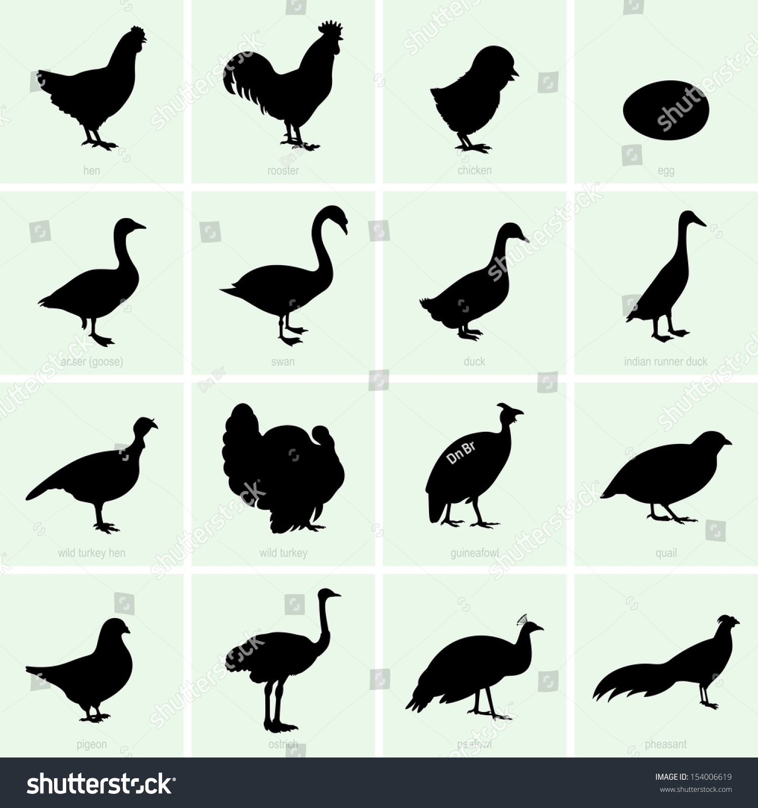 SVG of Poultry svg