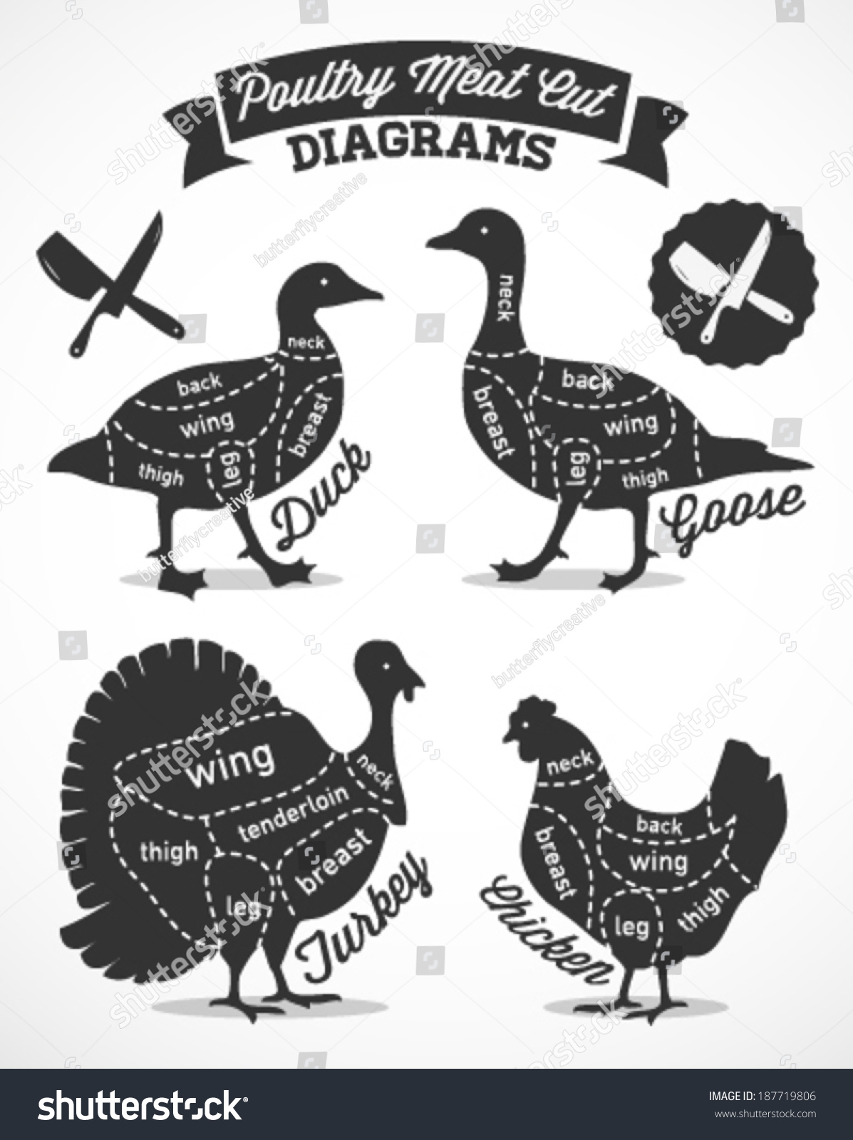 Poultry Cuts Diagram Vintage Style Stock Vector (Royalty Free ...