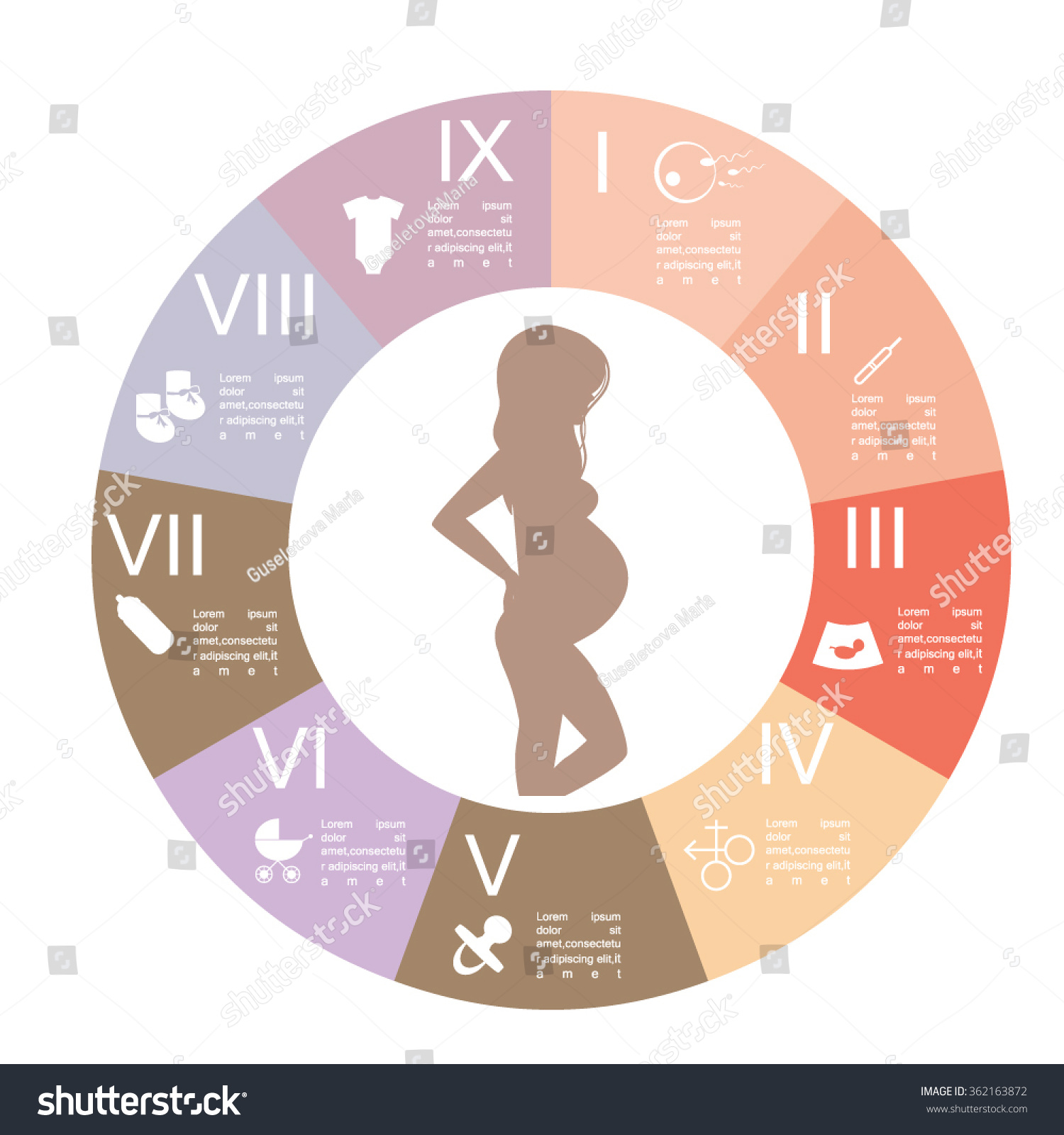 Pregnancy Infographics Stock Vector Royalty Free Shutterstock