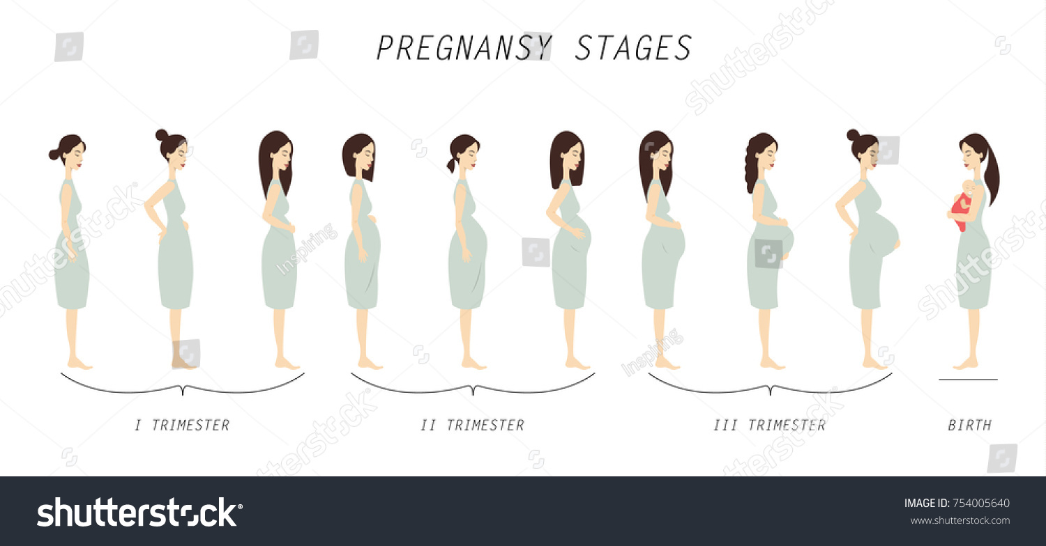 Pregnancy Stages Illustration Beginning Childbirth Stock Vector ...