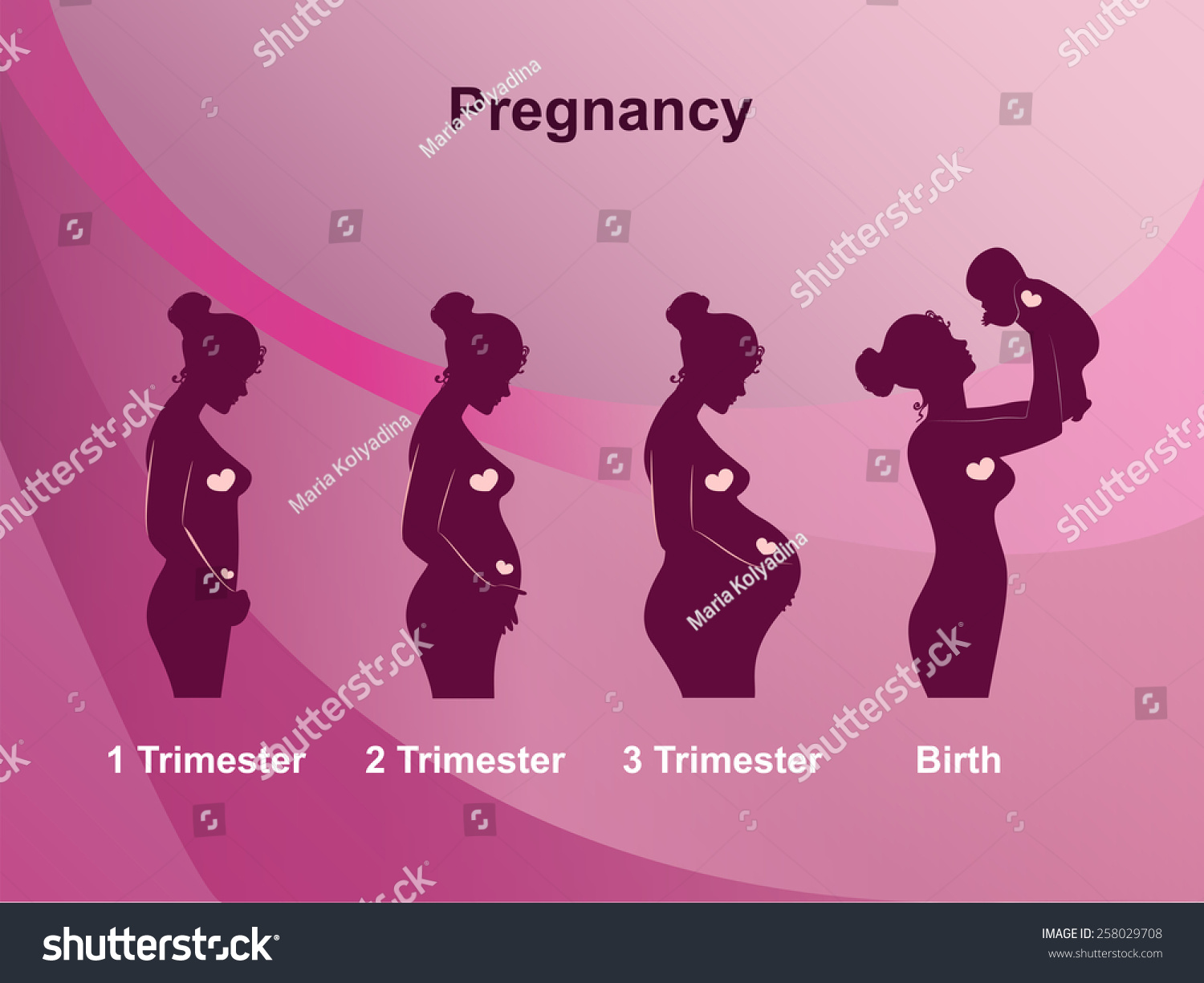Pregnancy Stages Trimesters Birth Pregnant Woman Stock Vector 258029708 ...