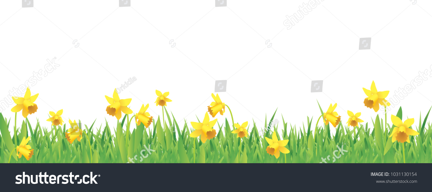 SVG of Pretty daffodils for spring full vector banner svg