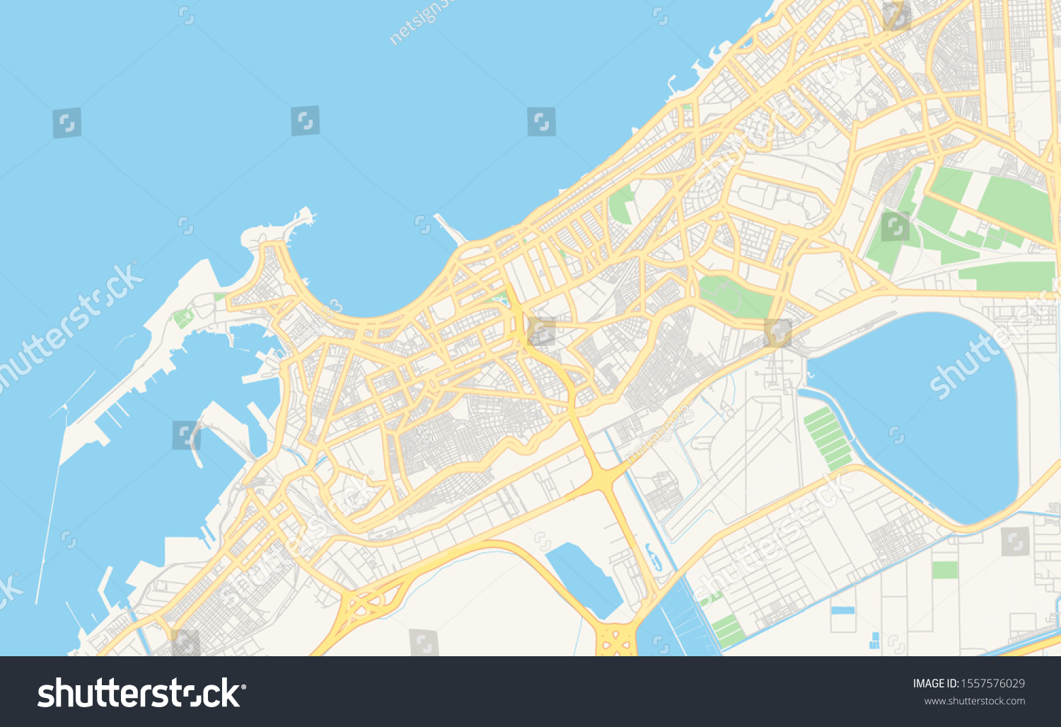 Stock Vector Printable Street Map Of Alexandria Egypt Map Template For Business Use 1557576029 