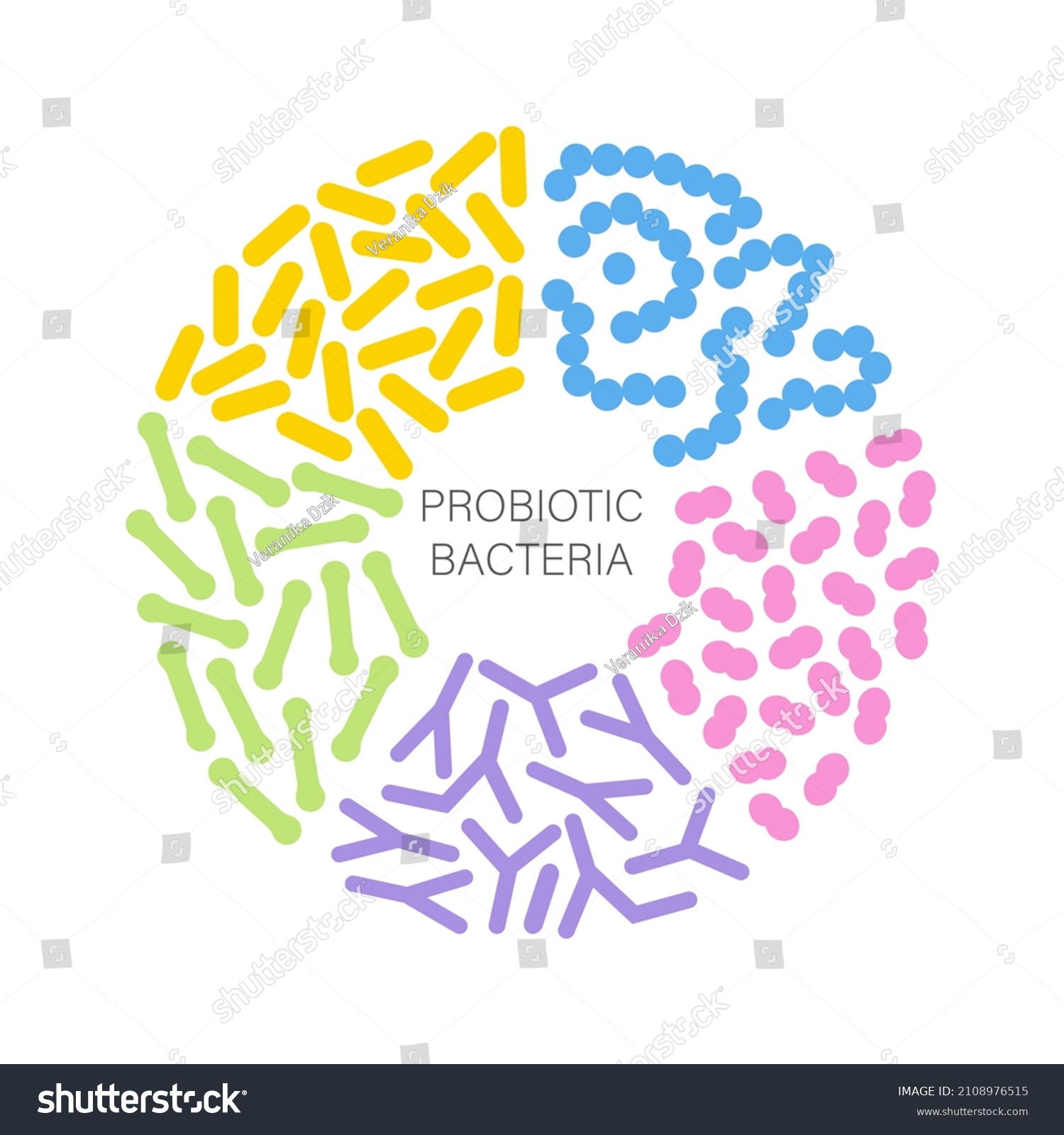 Probiotic Bacteria Set Circle Gut Microbiota Stock Vector Royalty Free