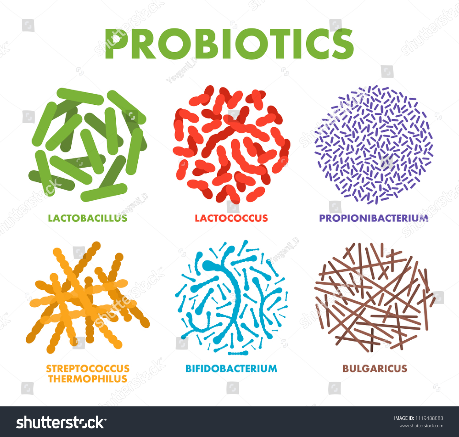 SVG of Probiotics. Good bacteria and microorganisms for human health. Microscopic probiotics, good bacterial flora. Vector svg