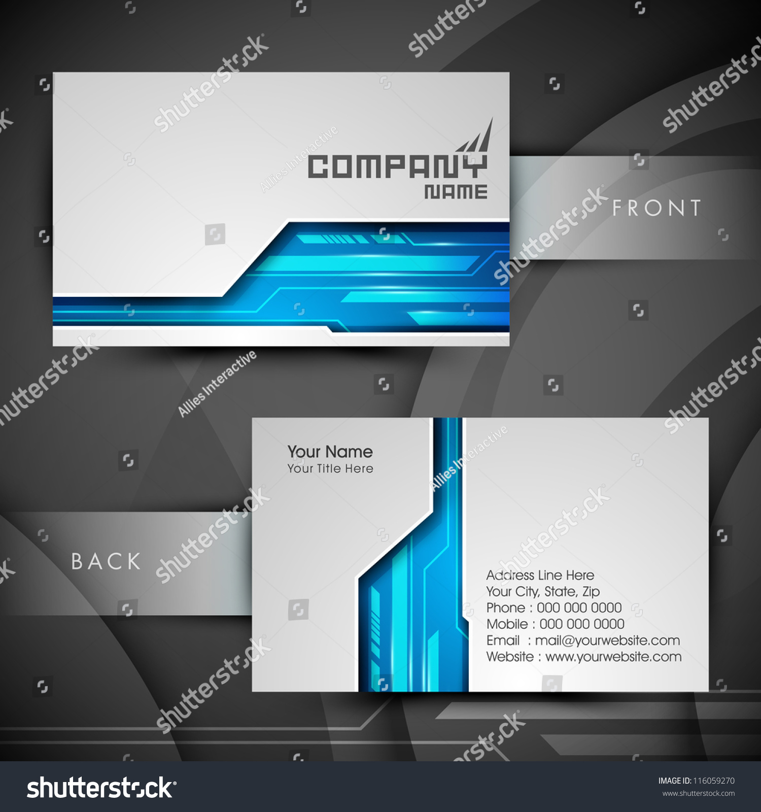 Professional Designer Business  Card  Set Visiting Stock 