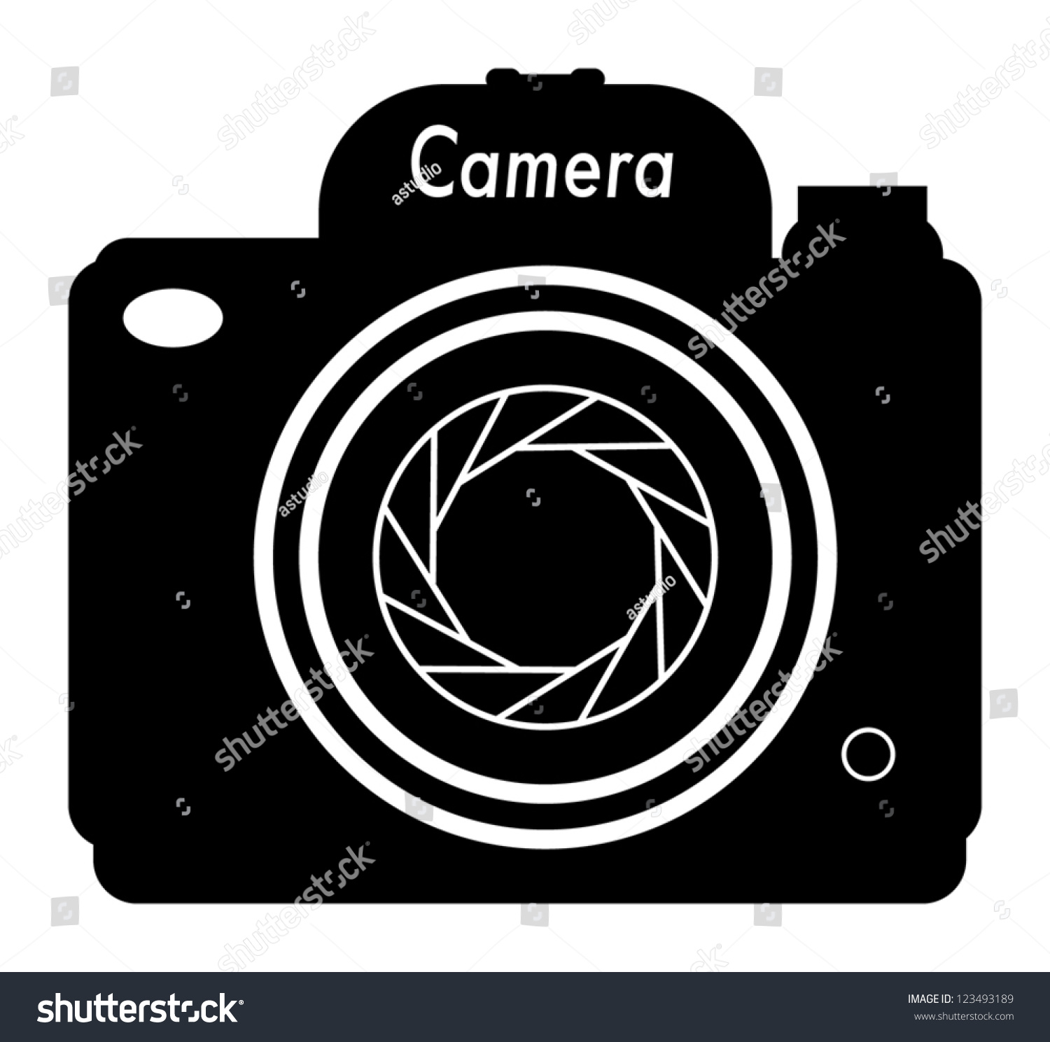 Professional Camera Icon, Vector Illustration - 123493189 : Shutterstock