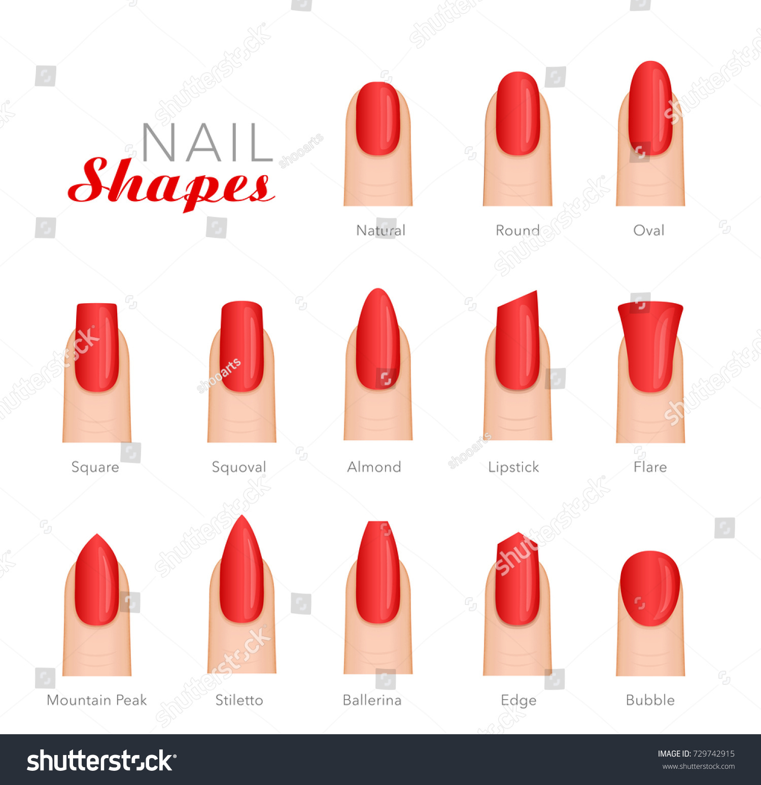 Professional Manicure Different Shapes Nails Vector Stock Vector ...