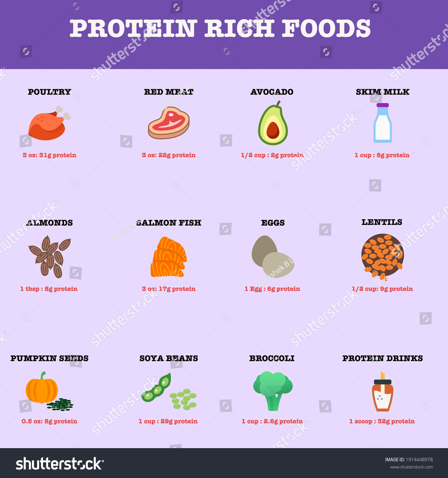 Protein Rich Foods Poultry Chicken Meat Stock Vector Royalty Free 1914448978 5497
