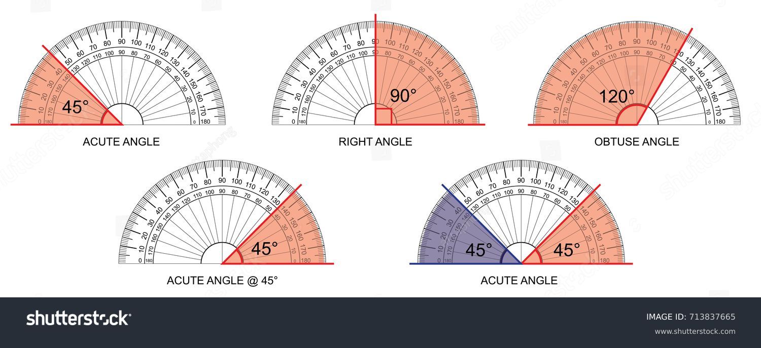 protractor protractor actual size graduation isolated stock vector royalty free 713837665 shutterstock