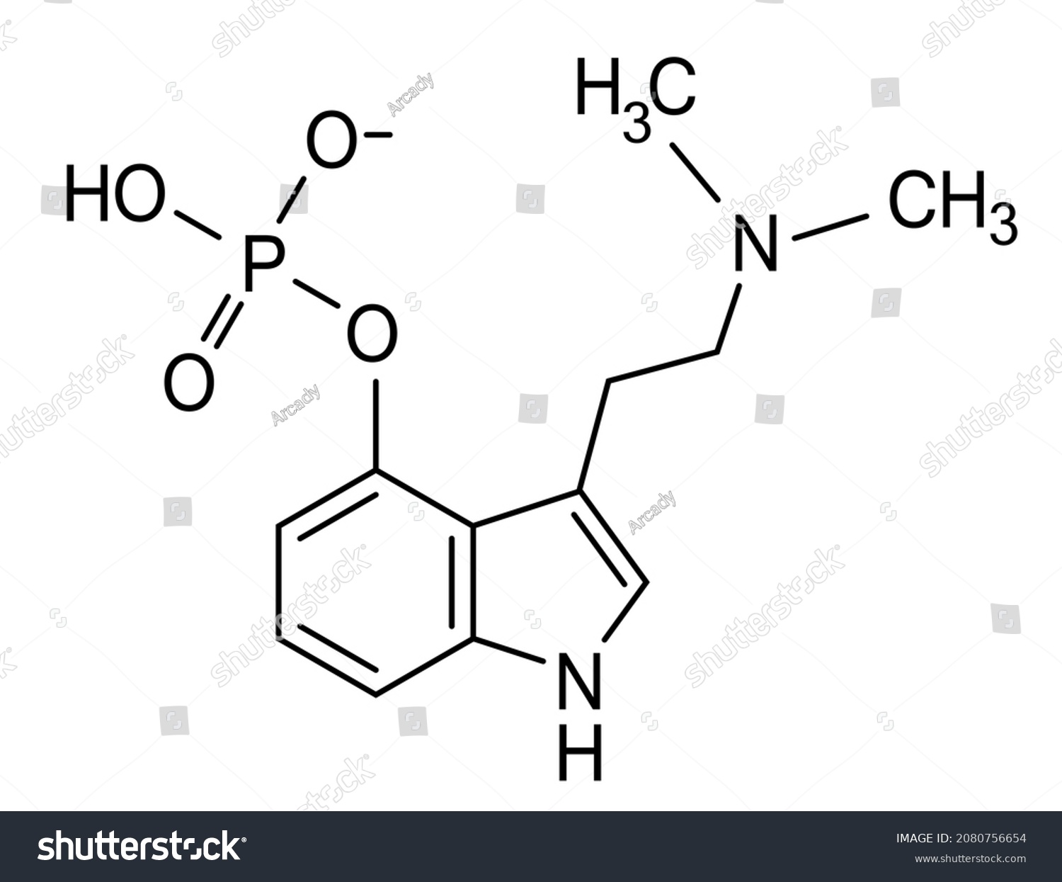 Psilocybin Chemical Formula Molecular Structure Isolated Stock Vector ...