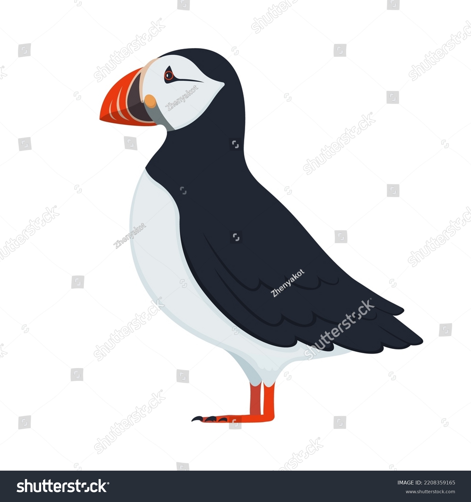 SVG of Puffin bird. Vector illustration of colorful puffin bird isolated on white. Flat design, side view. svg
