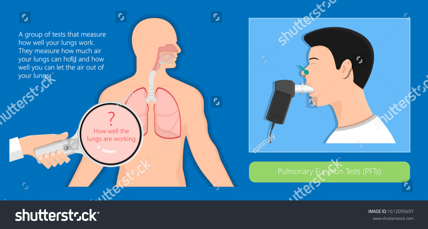 Pulmonary Lung Medical Function Test Measure Vector C S n mi n Ph pulmonary-lung-medical-function-test-measure-vector-c-s-n-mi-n-ph