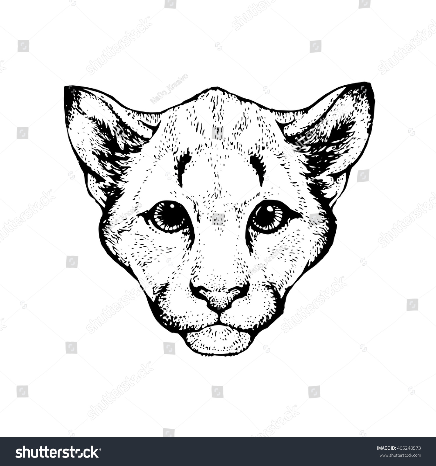 puma animal tattoo