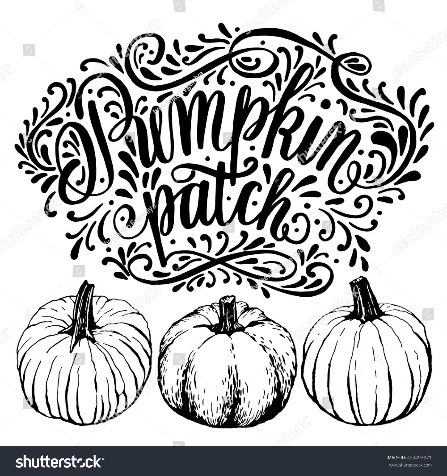 Pumpkin Patch Halloween Poster Hand Lettering Stock Vector Royalty Free 493493371